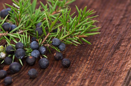 Juniper Berrries,Aarar,Arar,Abahal,Abhal