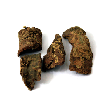 box Myrtle,Myrica esculenta